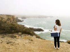 Mobicool MT08 Blauw Autokoelbox - 8 Liter 13 Mobicool MT08 Blauw Autokoelbox - 8 Liter -Kampeeruitrusting mobicool mt 08 cliff woman 1 resultaat